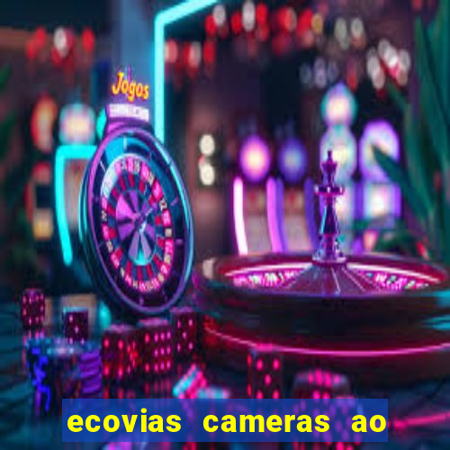 ecovias cameras ao vivo santos